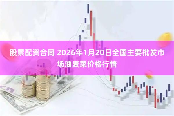 股票配资合同 2026年1月20日全国主要批发市场油麦菜价格行情