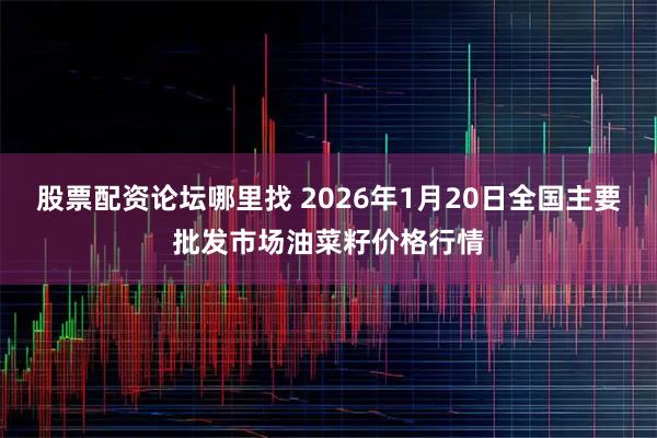 股票配资论坛哪里找 2026年1月20日全国主要批发市场油菜籽价格行情