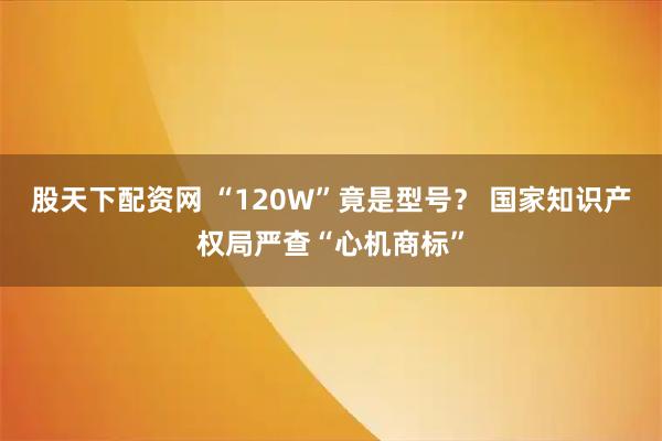 股天下配资网 “120W”竟是型号？ 国家知识产权局严查“心机商标”